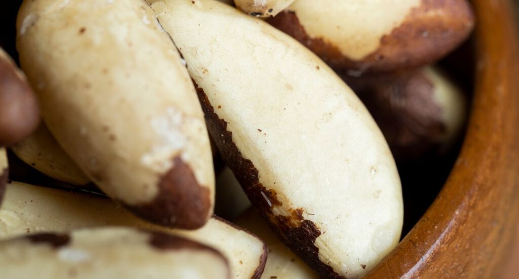 An Integrative Approach for Thyroid Health: Natural Balance through Food, Nutrients, and Herbs