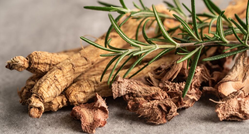 Harmonizing Body Energy with Nature's Remedies: A Deep Dive into Chinese Medicine and Herbalism