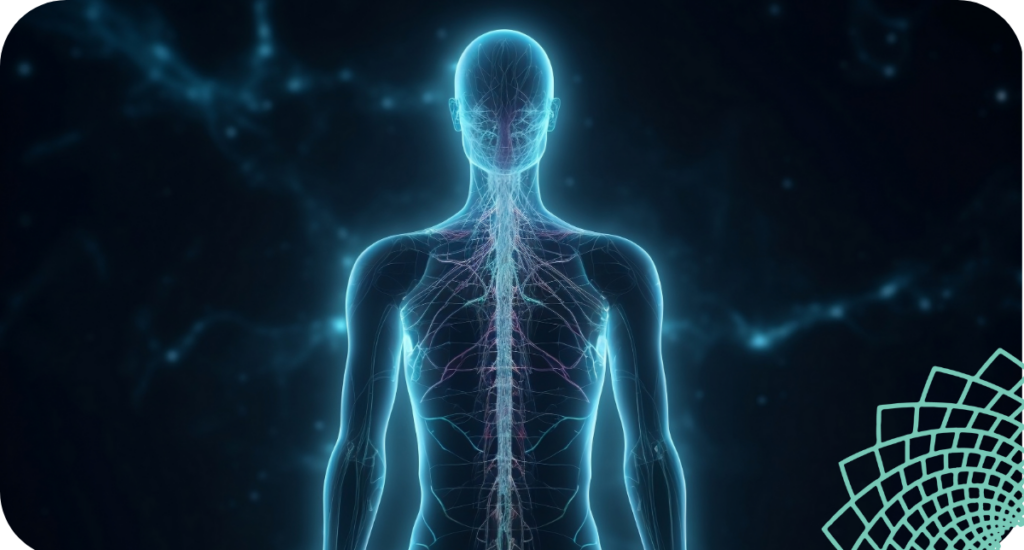 Cellular signaling mTOR and AMPK