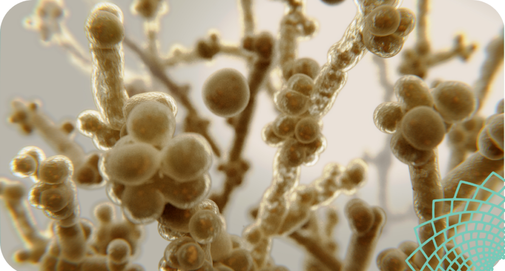 Candida, Metabolic & Vitamins Test can detect candida via organic acids testing